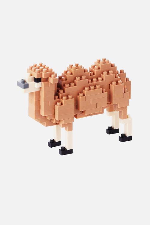 Camel