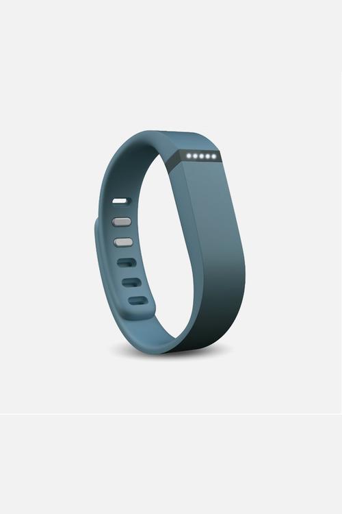 Fitbit Flex