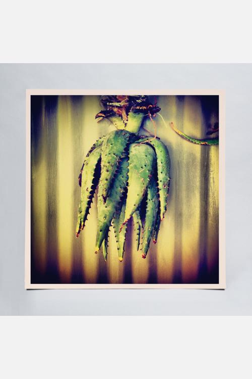 Cactus - Print