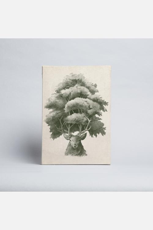 Old Growth - Canvas
