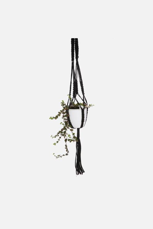Macramé Planter