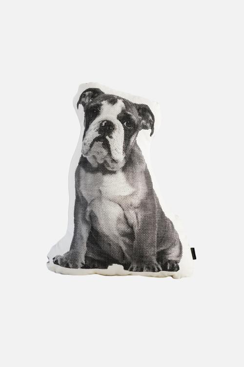 Mr. T Cushion