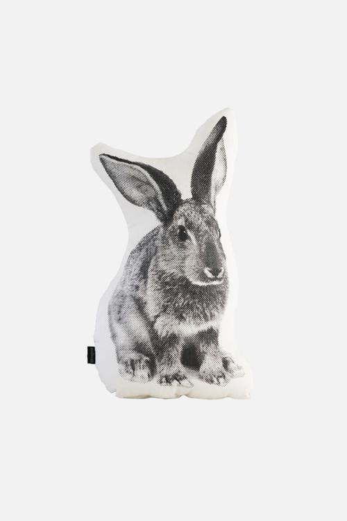 Peter Rabbit Cushion