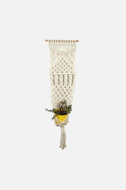 Macramé Plant Wall Hanger 