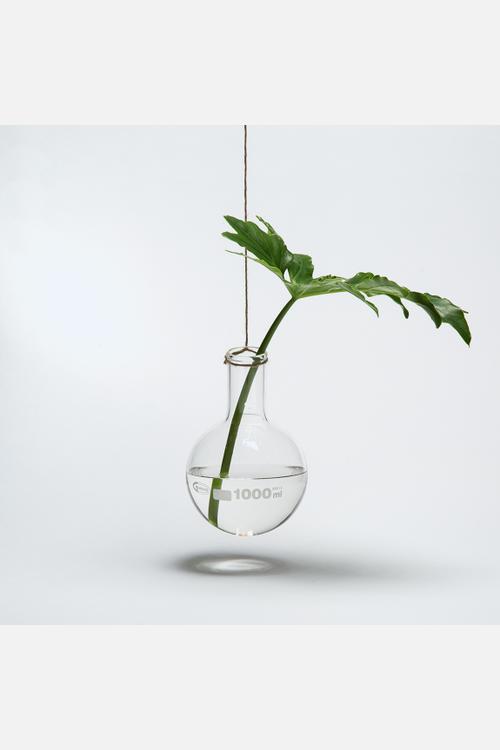 Round Bottom Flask 
