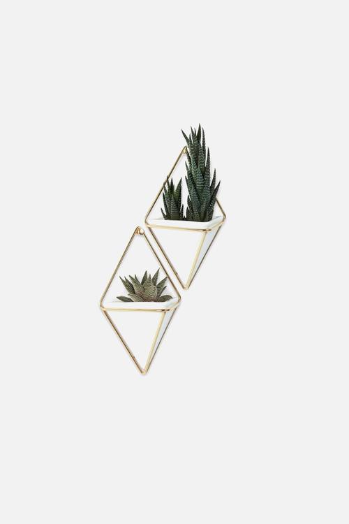 Trigg wall vessel small set of 2 