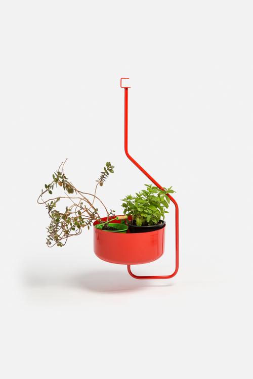 Forrester Hanging Plant