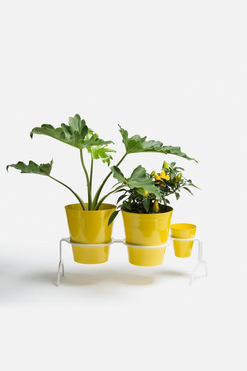 Tray Planter
