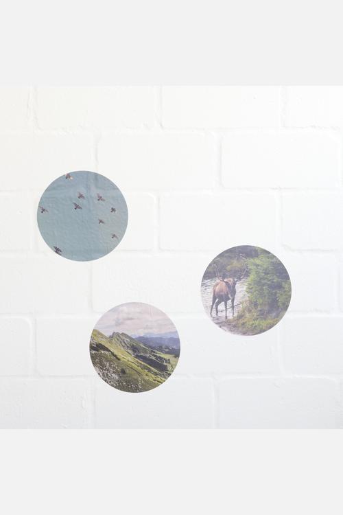 Wanderlust Wall Dots