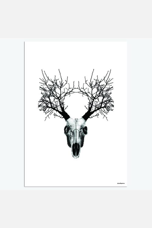 Skull Buck 