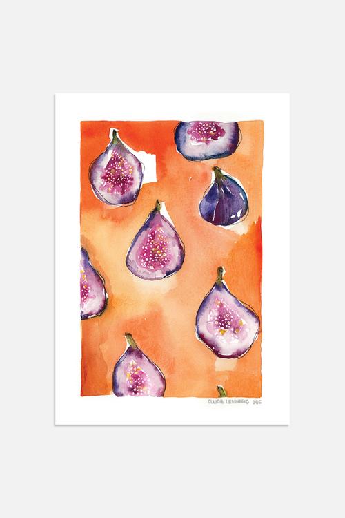 Pattern Fig