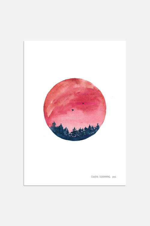 Vanilla Sky