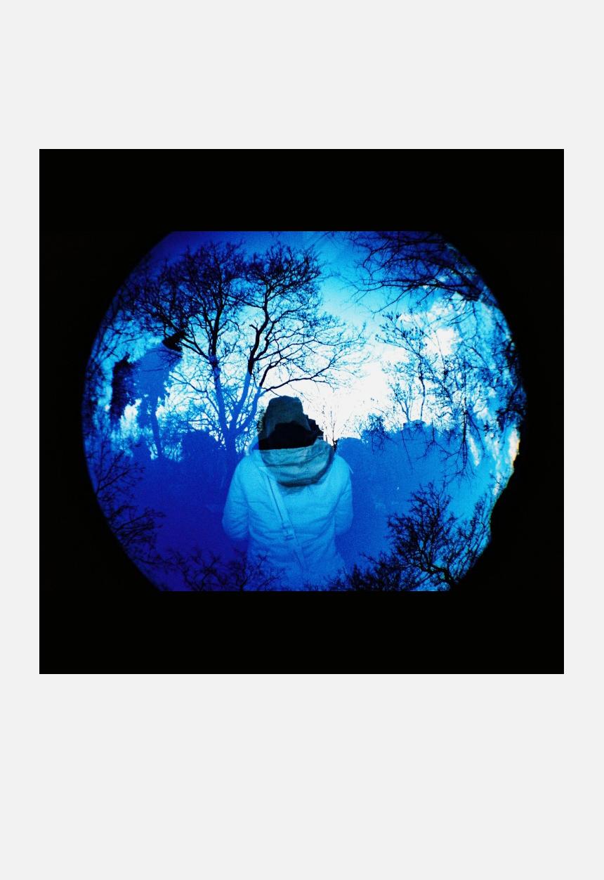 Lomography - Fisheye No. 2