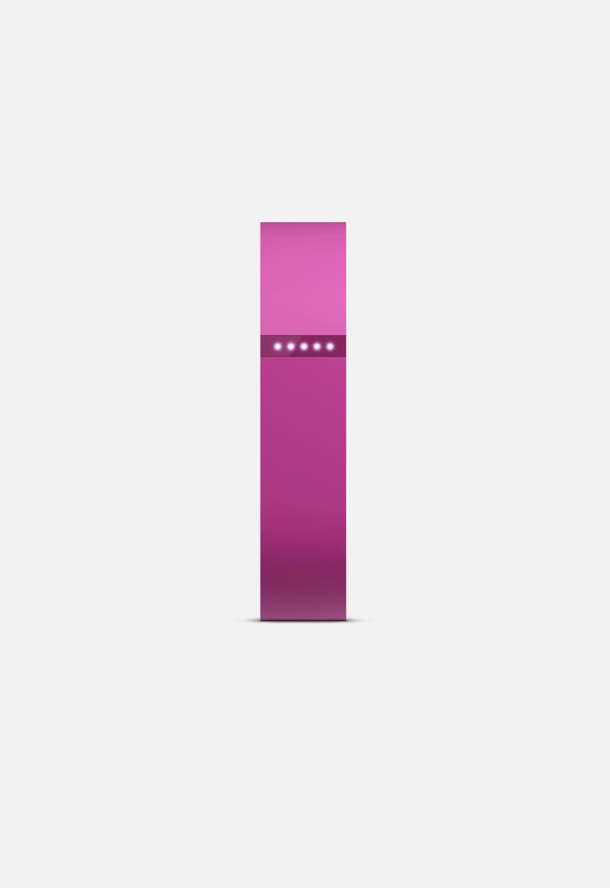Fitbit - Fitbit Flex