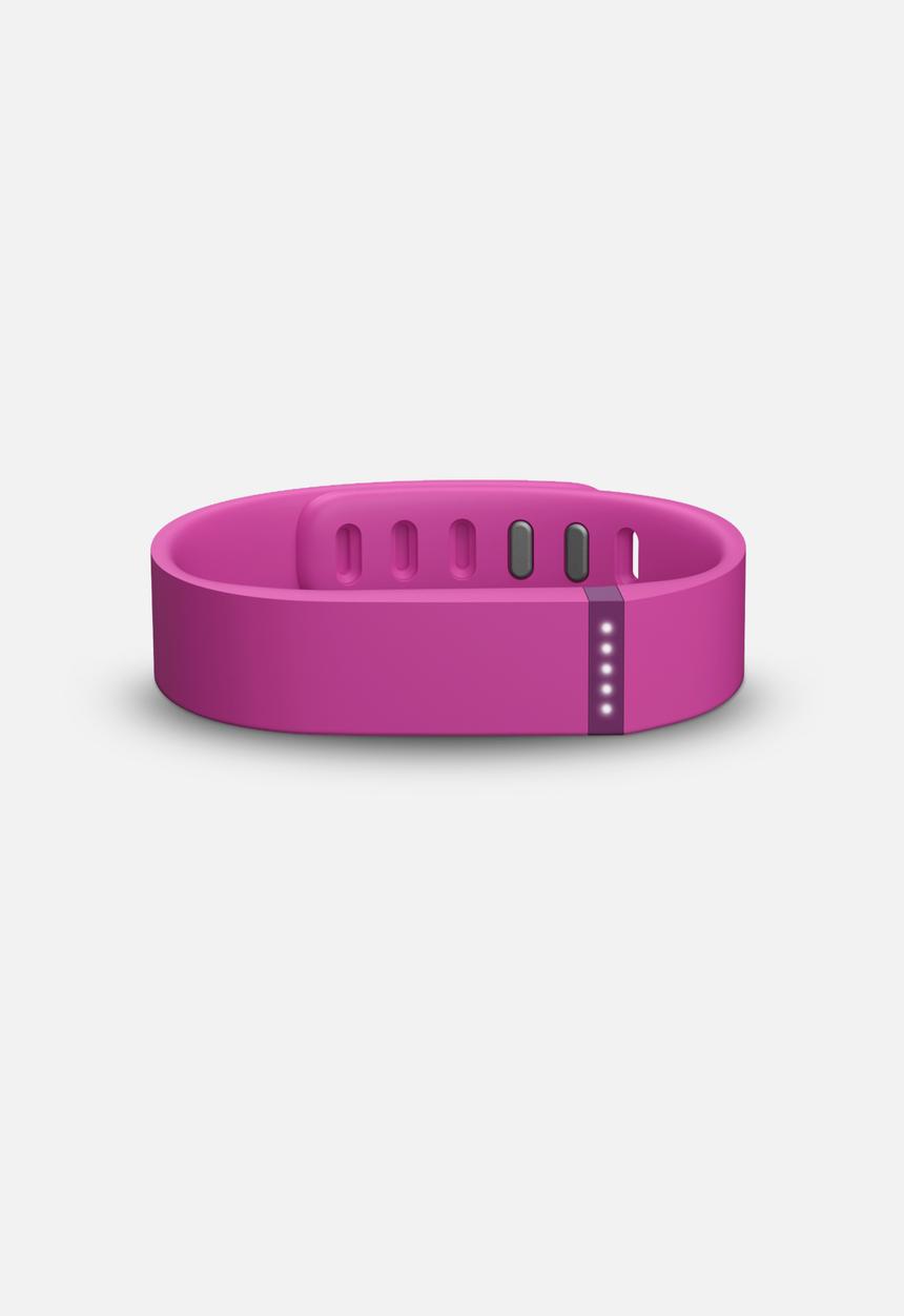 Fitbit - Fitbit Flex