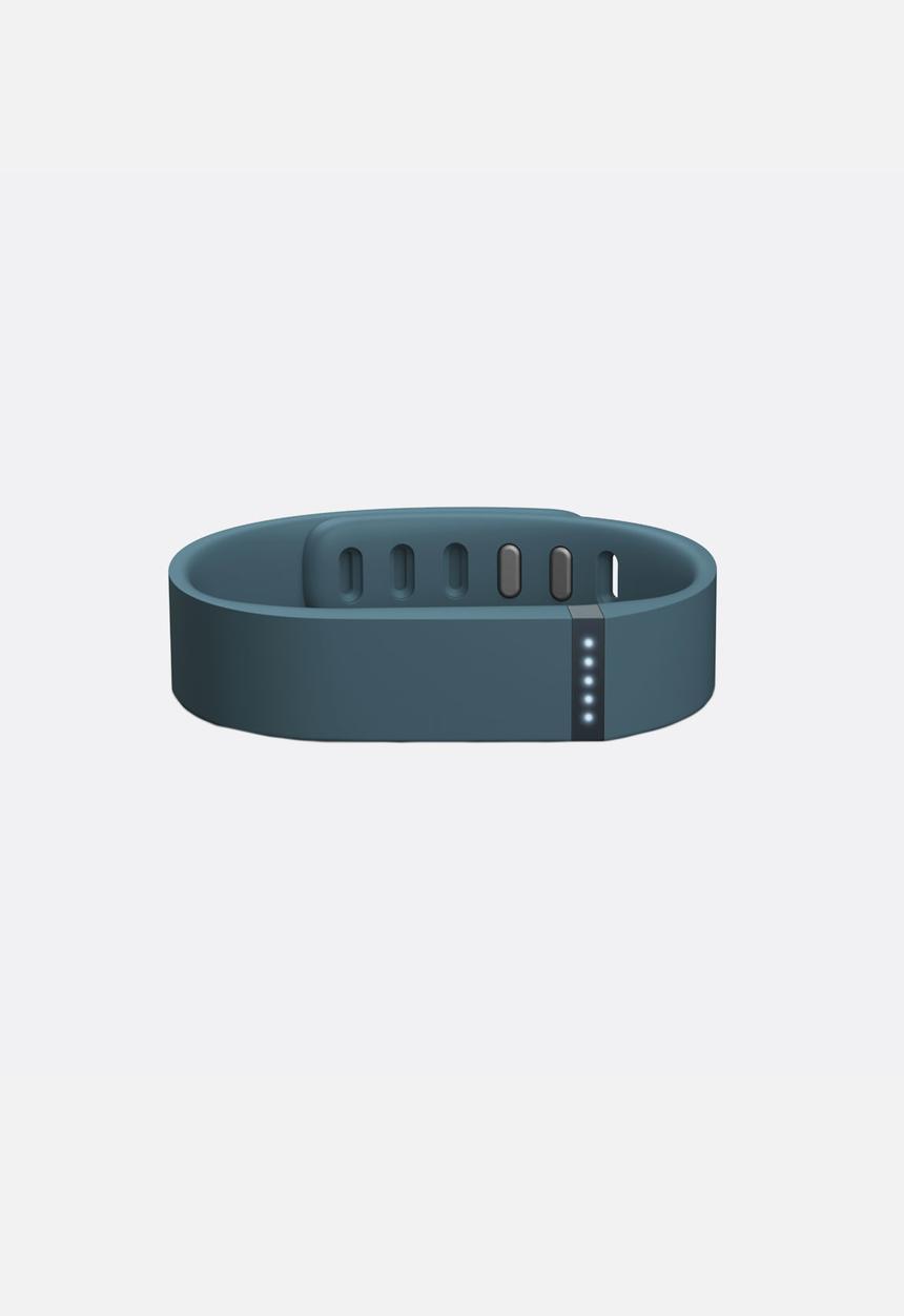 Fitbit - Fitbit Flex