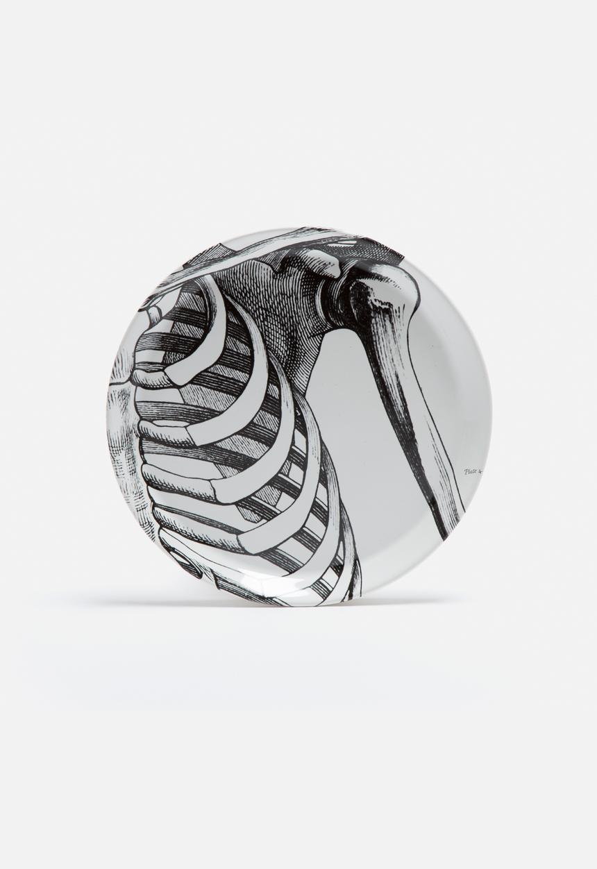 Studio No. 19 - Skeleton Plate Set of 12