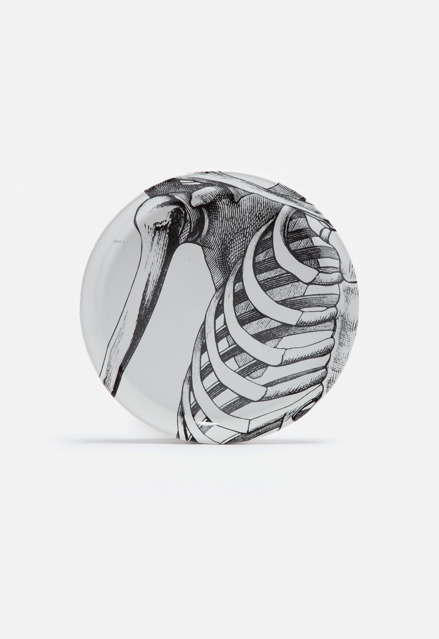 Studio No. 19 - Skeleton Plate Set of 12