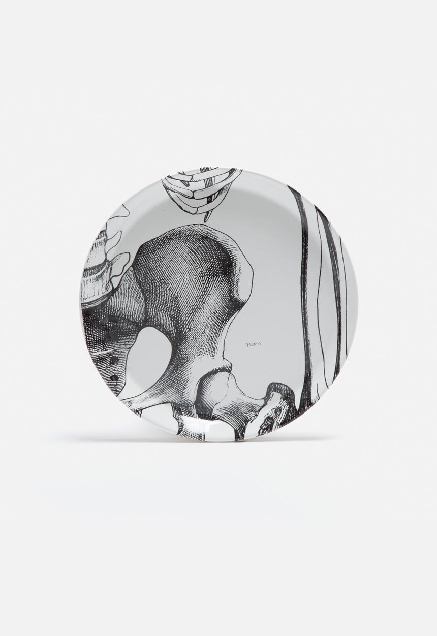 Studio No. 19 - Skeleton Plate Set of 12