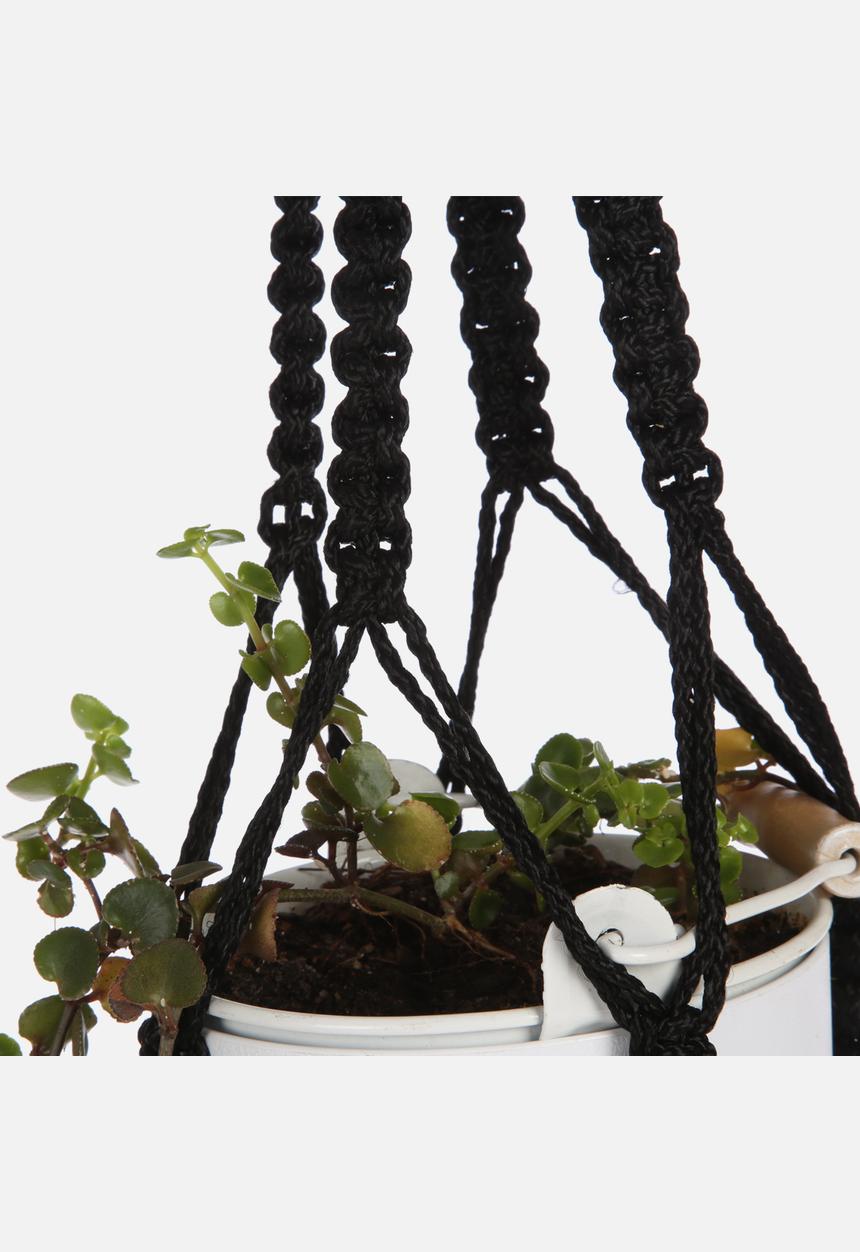 KNØT - Macramé Planter