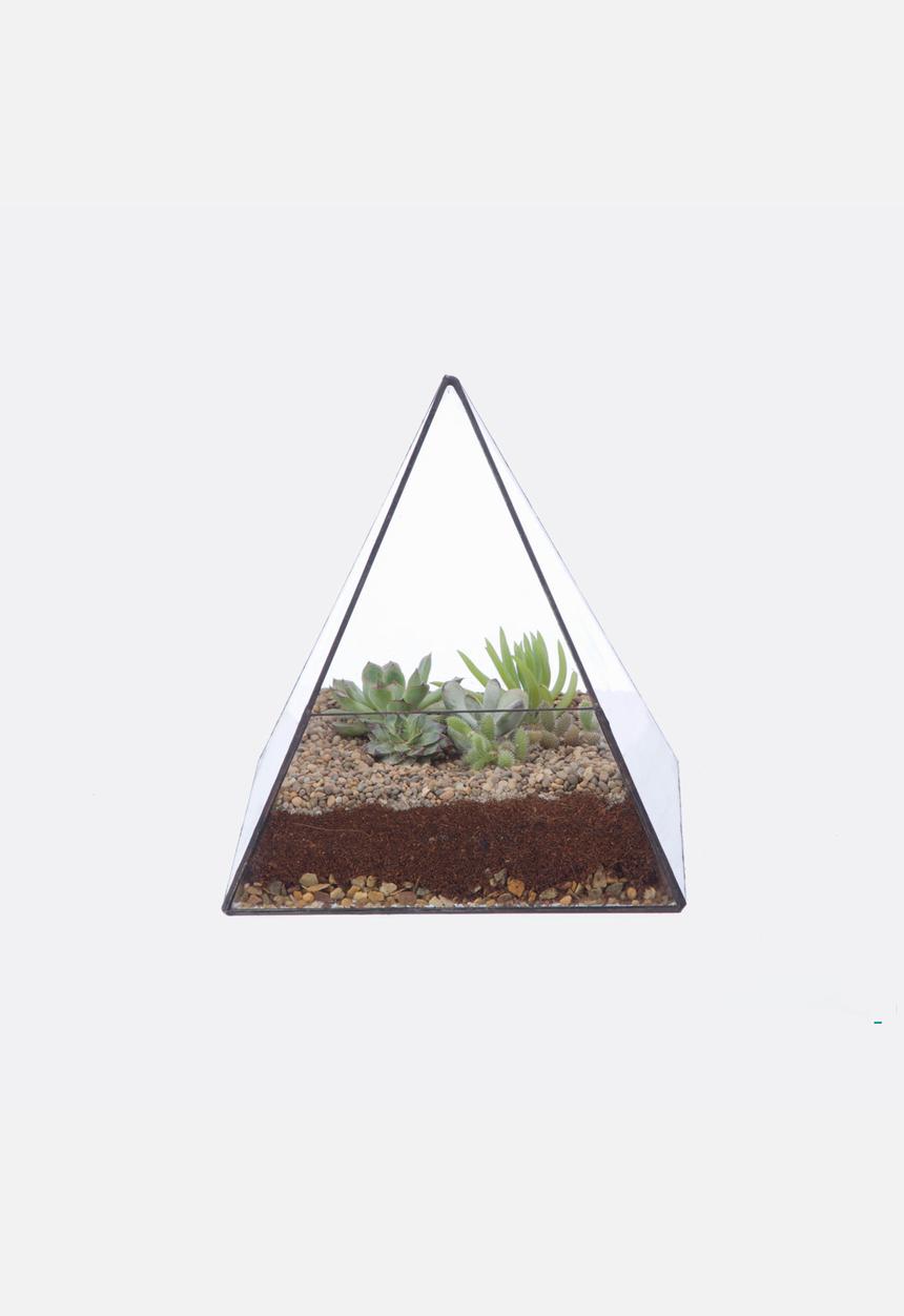 CINDERWOOD - Pyramid