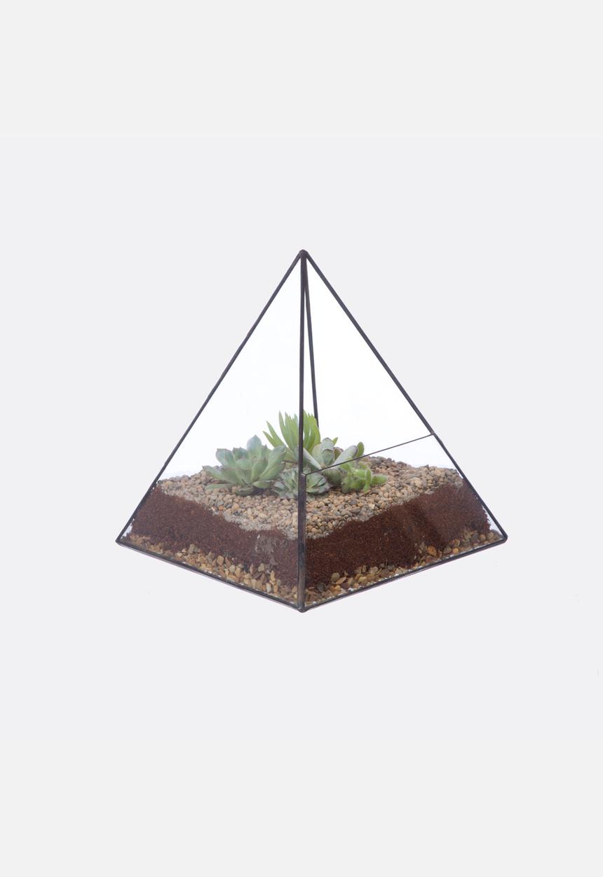 CINDERWOOD - Pyramid