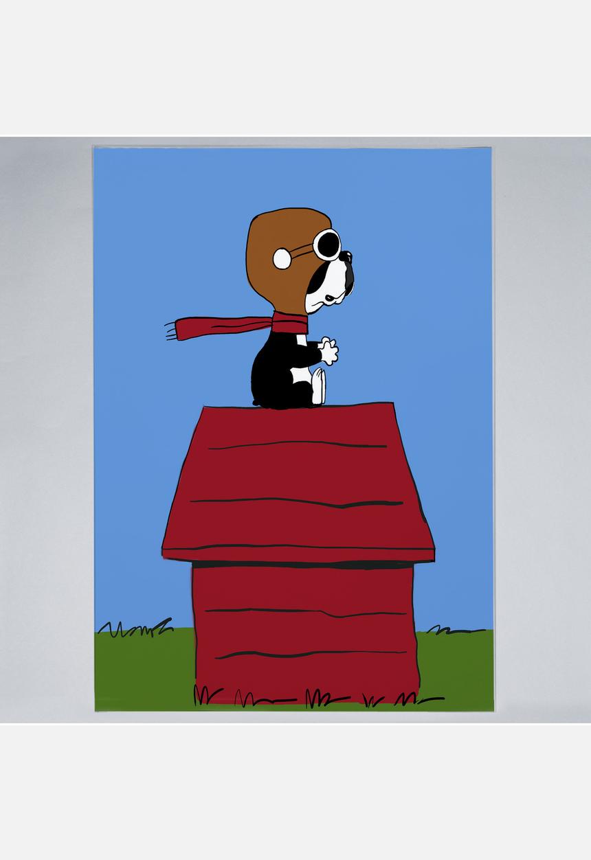 Brian Rubenacker - BT Flying Aces - Print