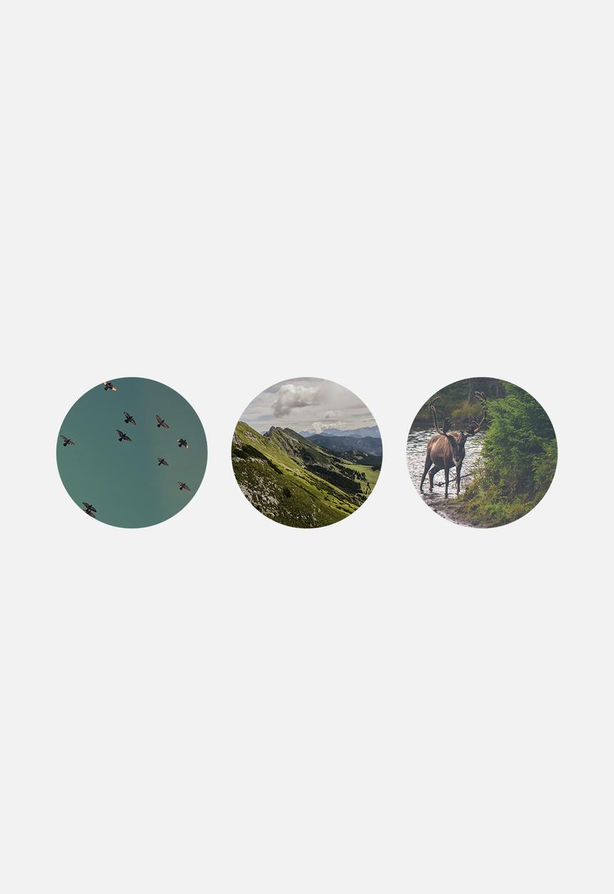 Superbalist Wall Decals - Wanderlust Wall Dots