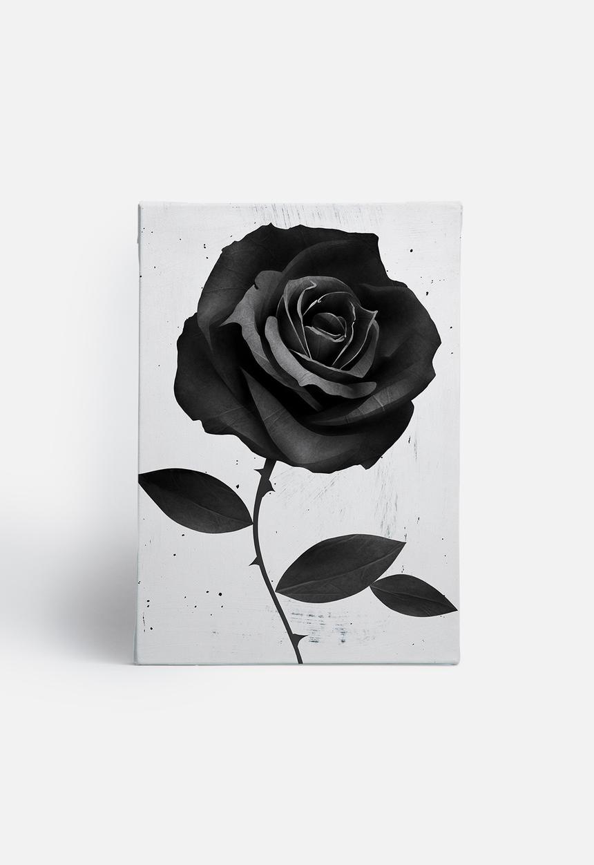 Ruben Ireland - Fabric Rose