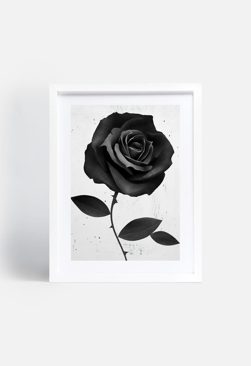 Ruben Ireland - Fabric Rose