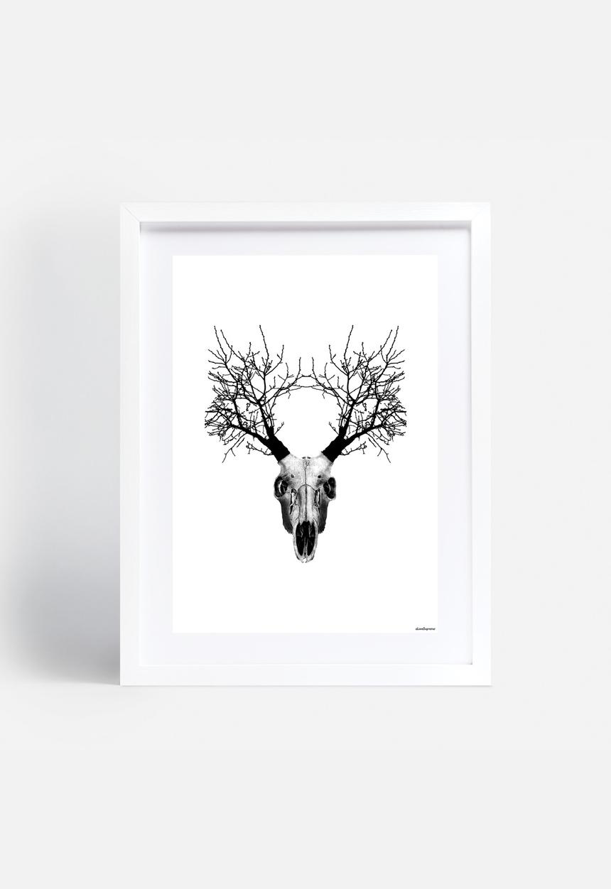 A Love Supreme - Skull Buck 