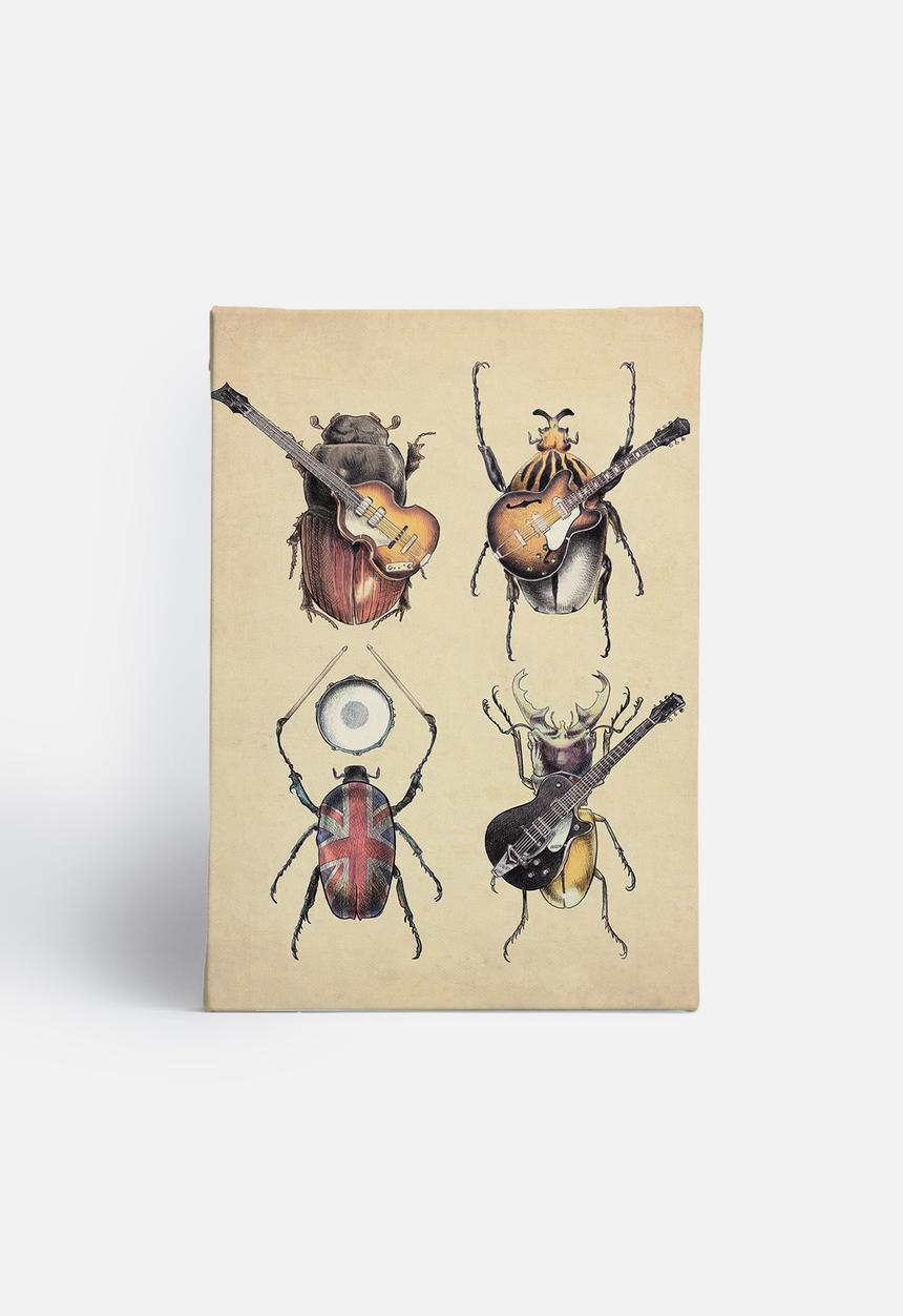 Eric Fan - Meet the Beetles