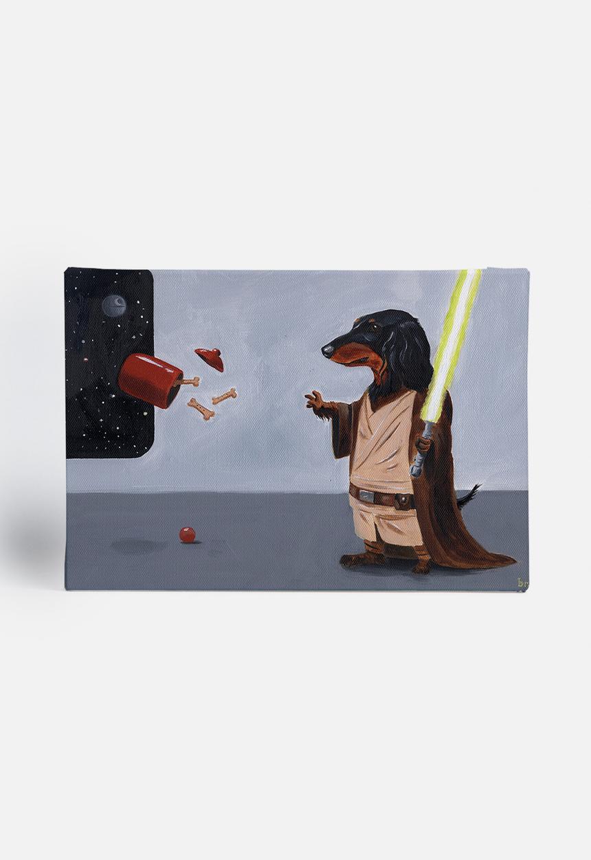 Brian Rubenacker - Dach Jedi 