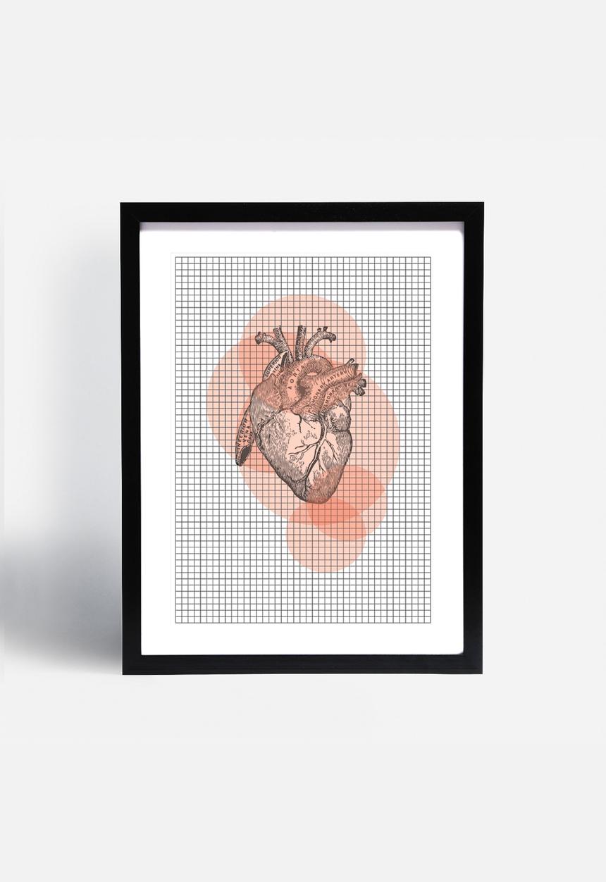 Simple Intrigue - Anatomy 101 (Heart)