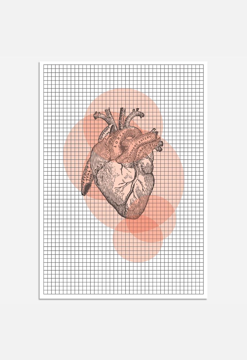 Simple Intrigue - Anatomy 101 (Heart)