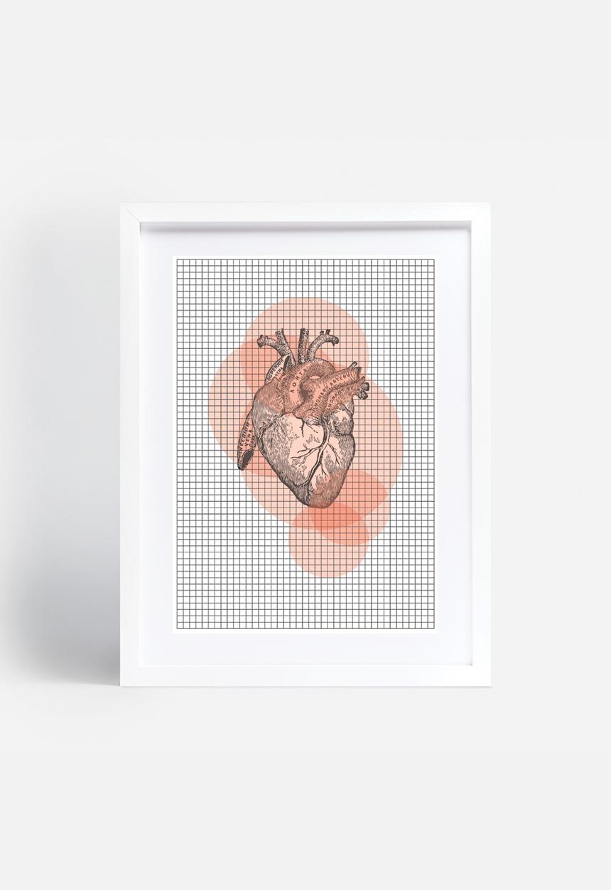 Simple Intrigue - Anatomy 101 (Heart)