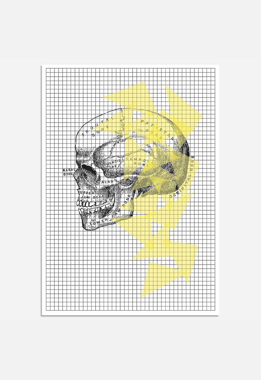 Simple Intrigue - Anatomy 101 (Skull)