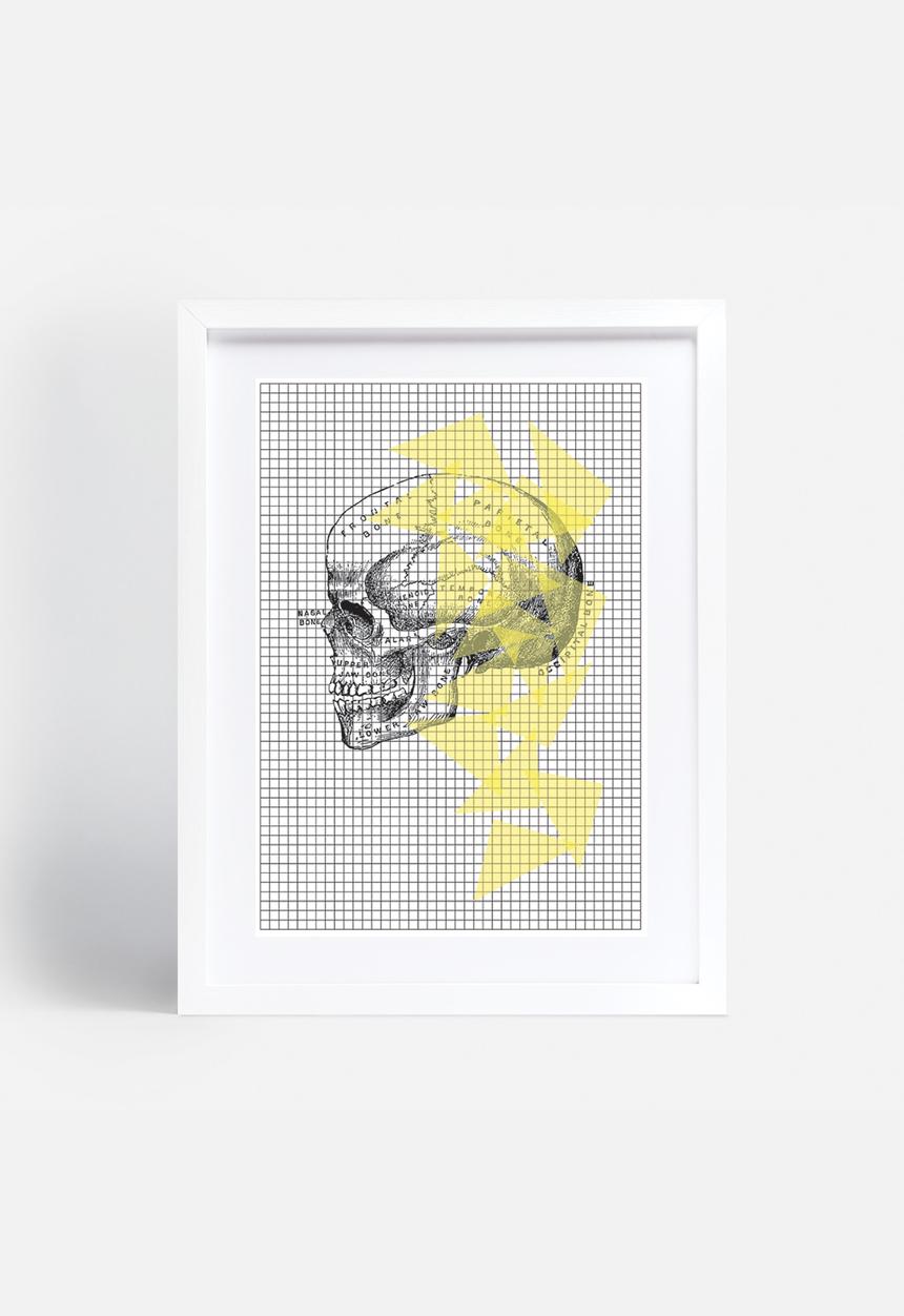 Simple Intrigue - Anatomy 101 (Skull)
