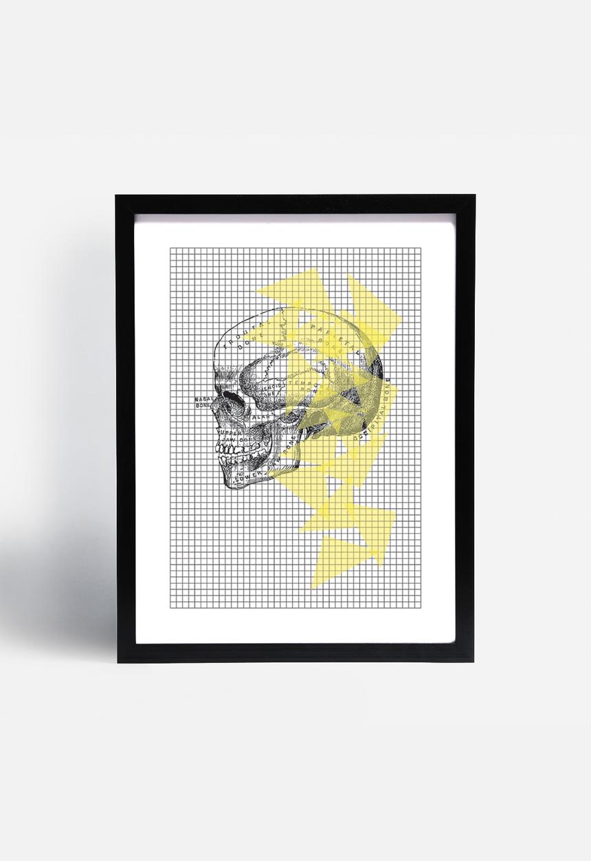 Simple Intrigue - Anatomy 101 (Skull)