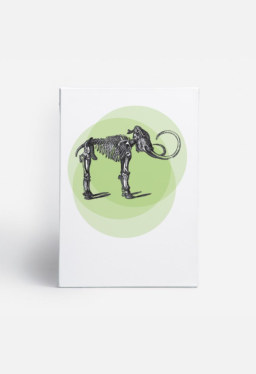 Simple Intrigue - Curious Animals (Mammoth)