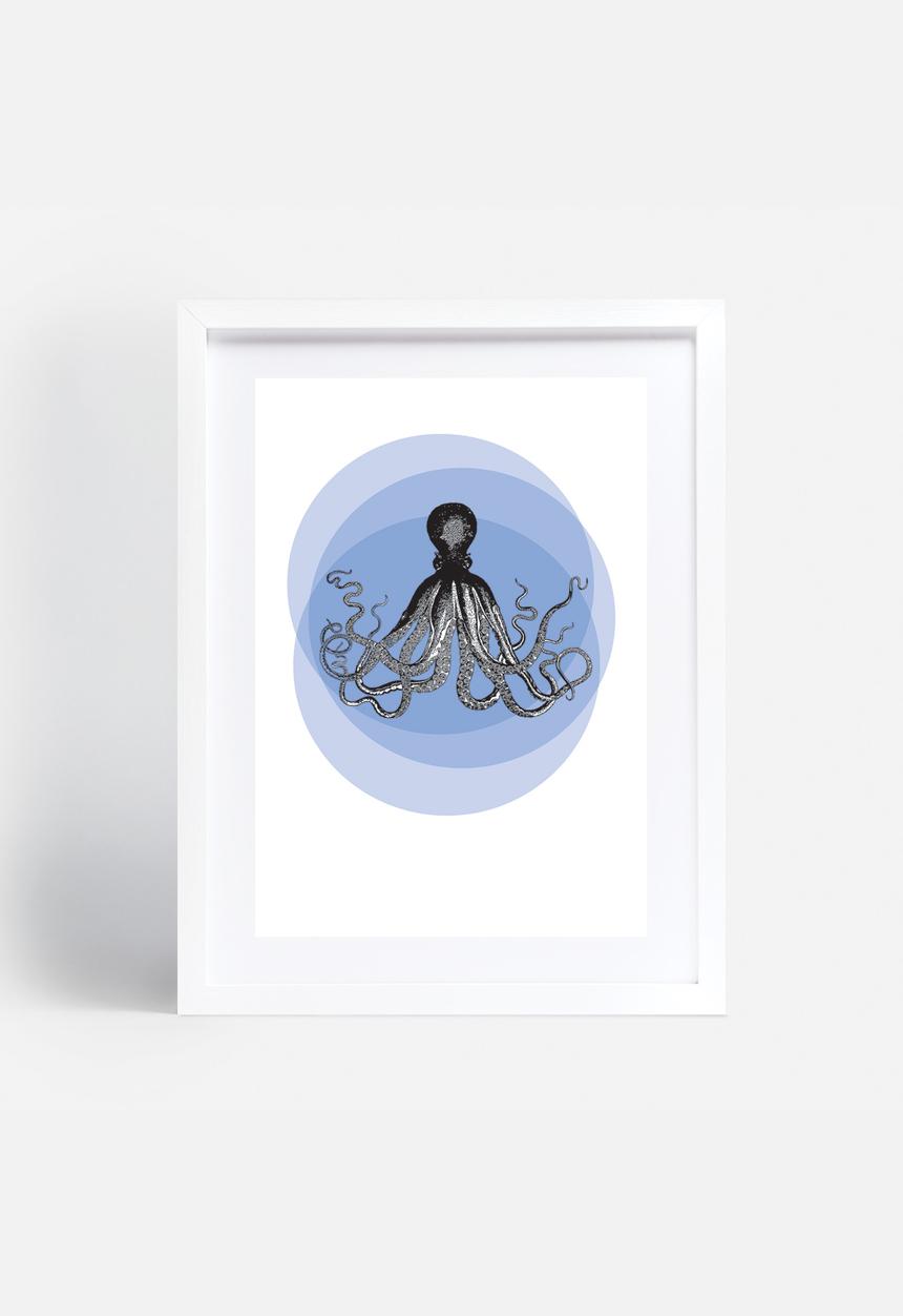Simple Intrigue - Curious Animals (Octopus)