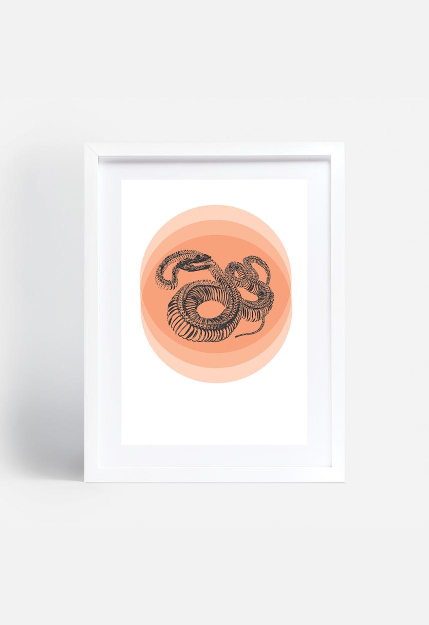 Simple Intrigue - Curious Animals (Snake)