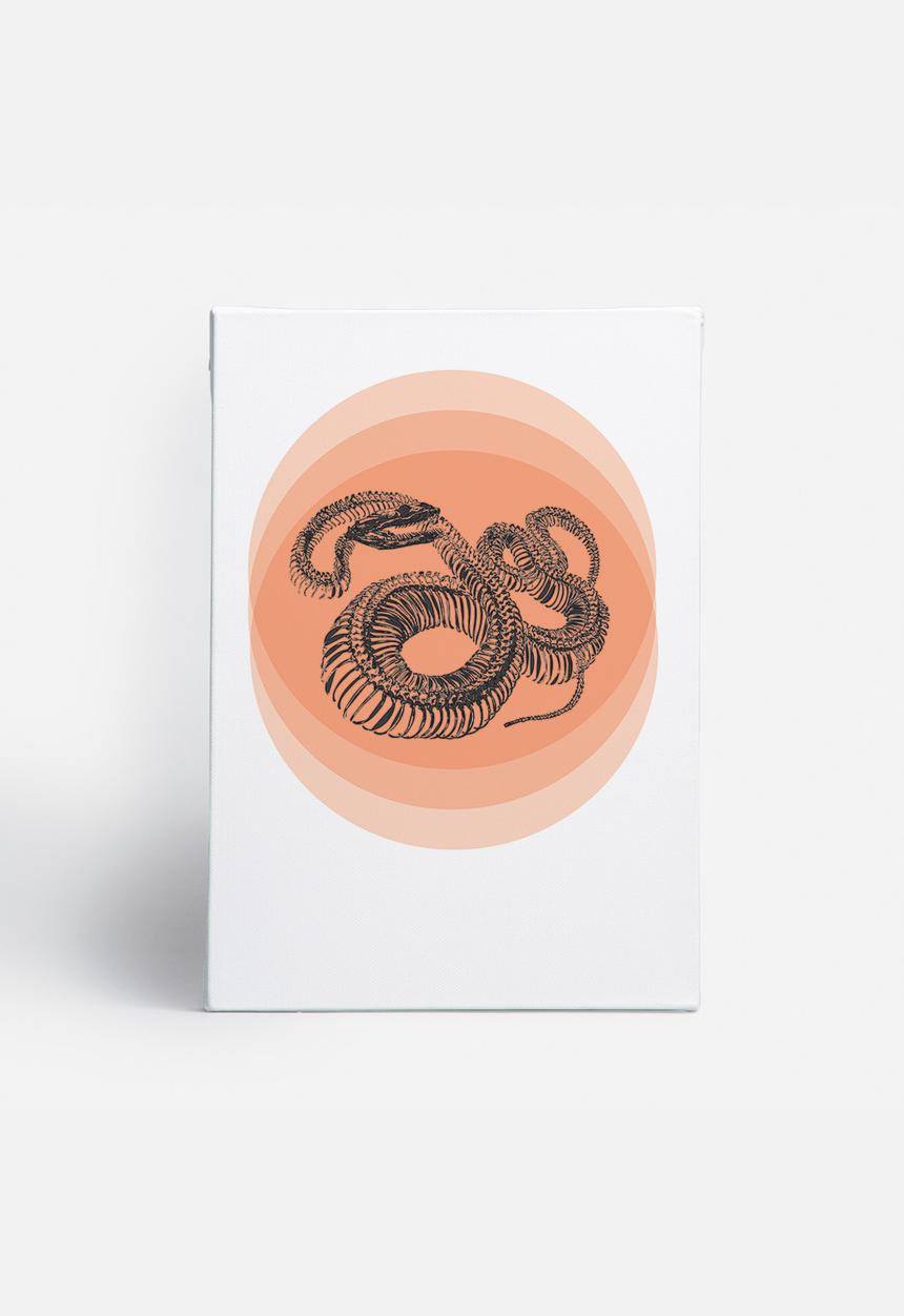 Simple Intrigue - Curious Animals (Snake)