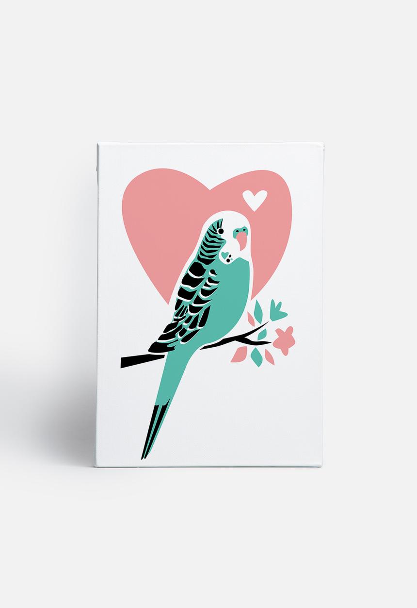 Jilly Jack - Parakeet