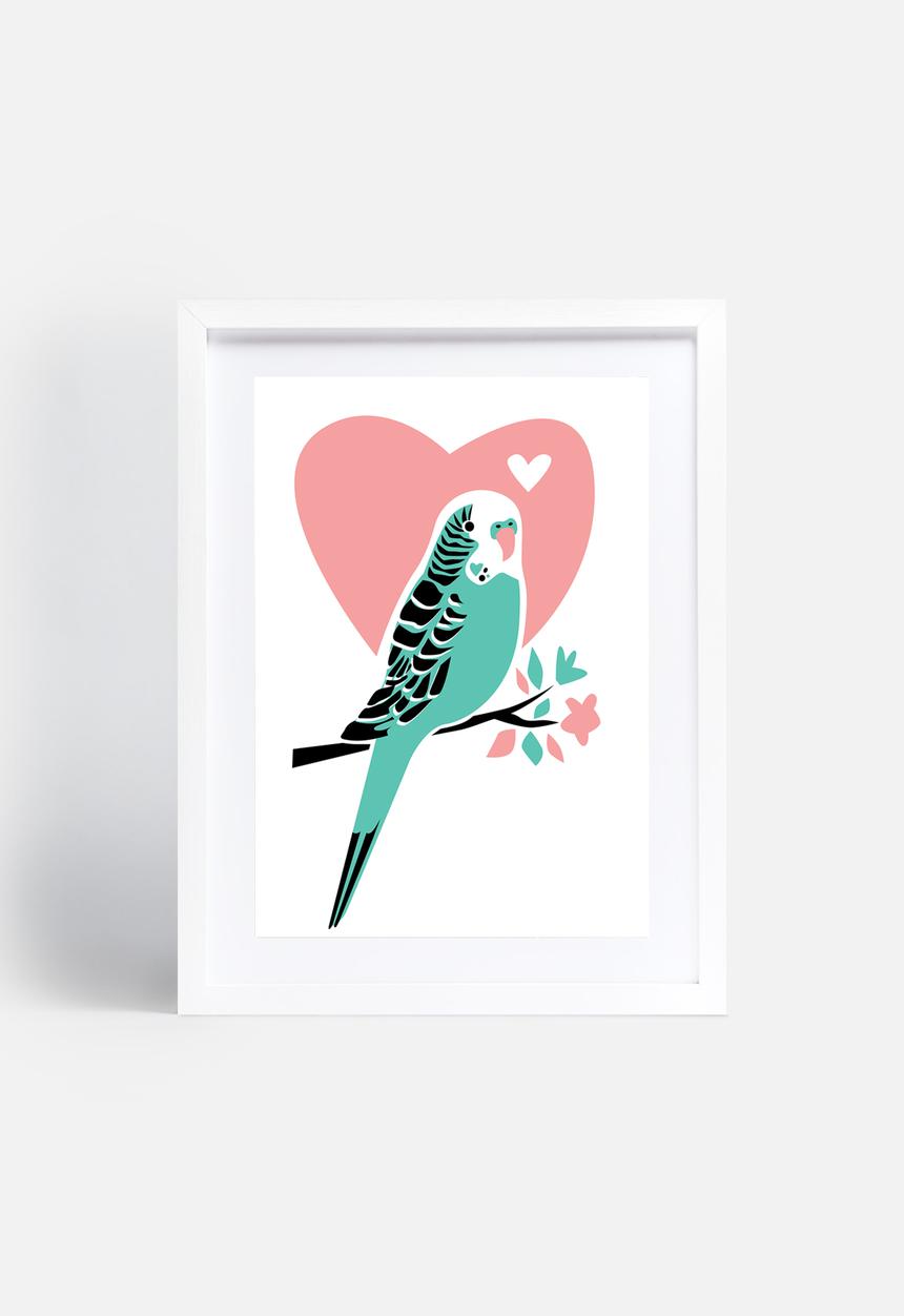 Jilly Jack - Parakeet