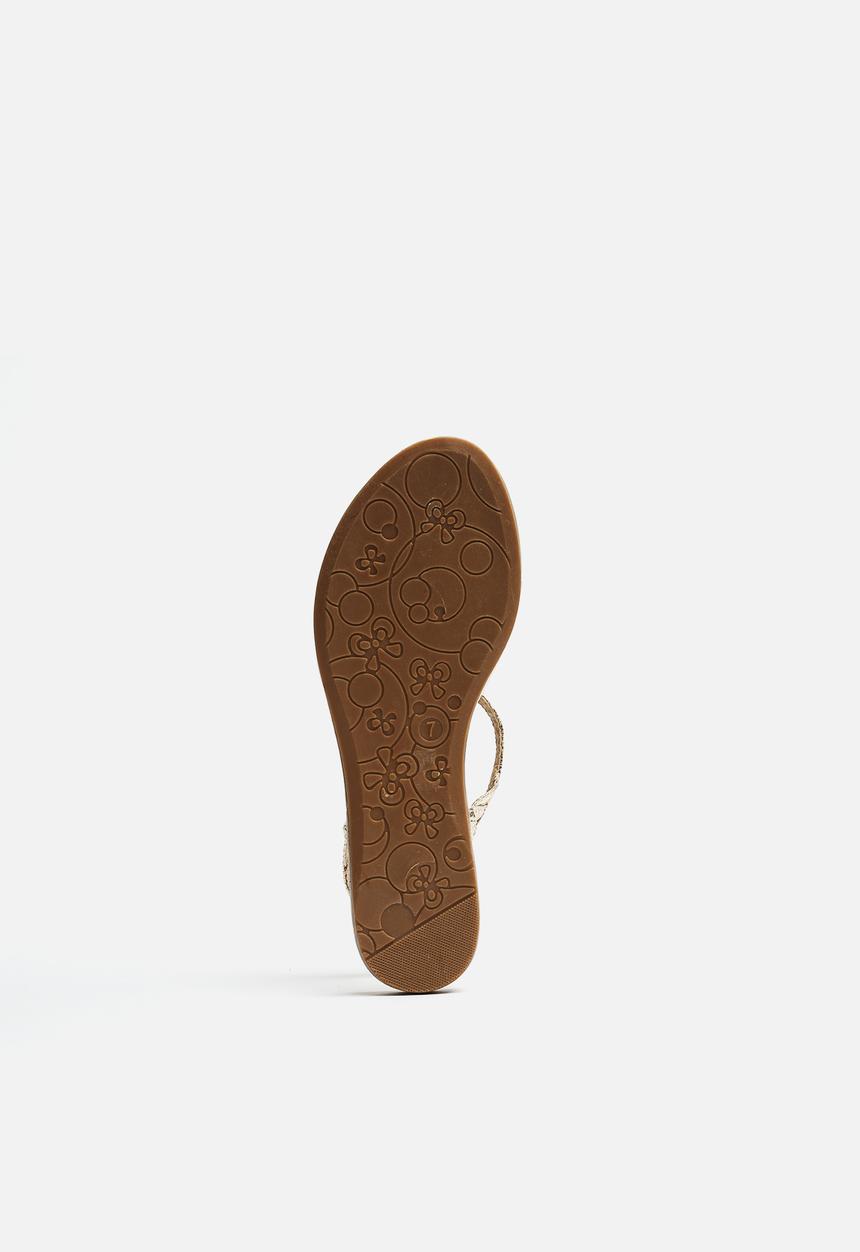 Zoom - Zadig