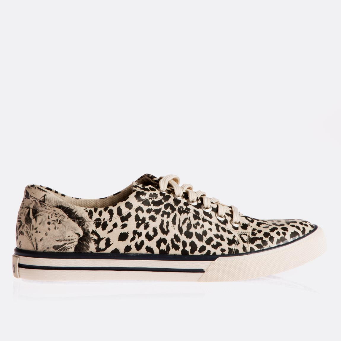 zilo snow leopard trainer